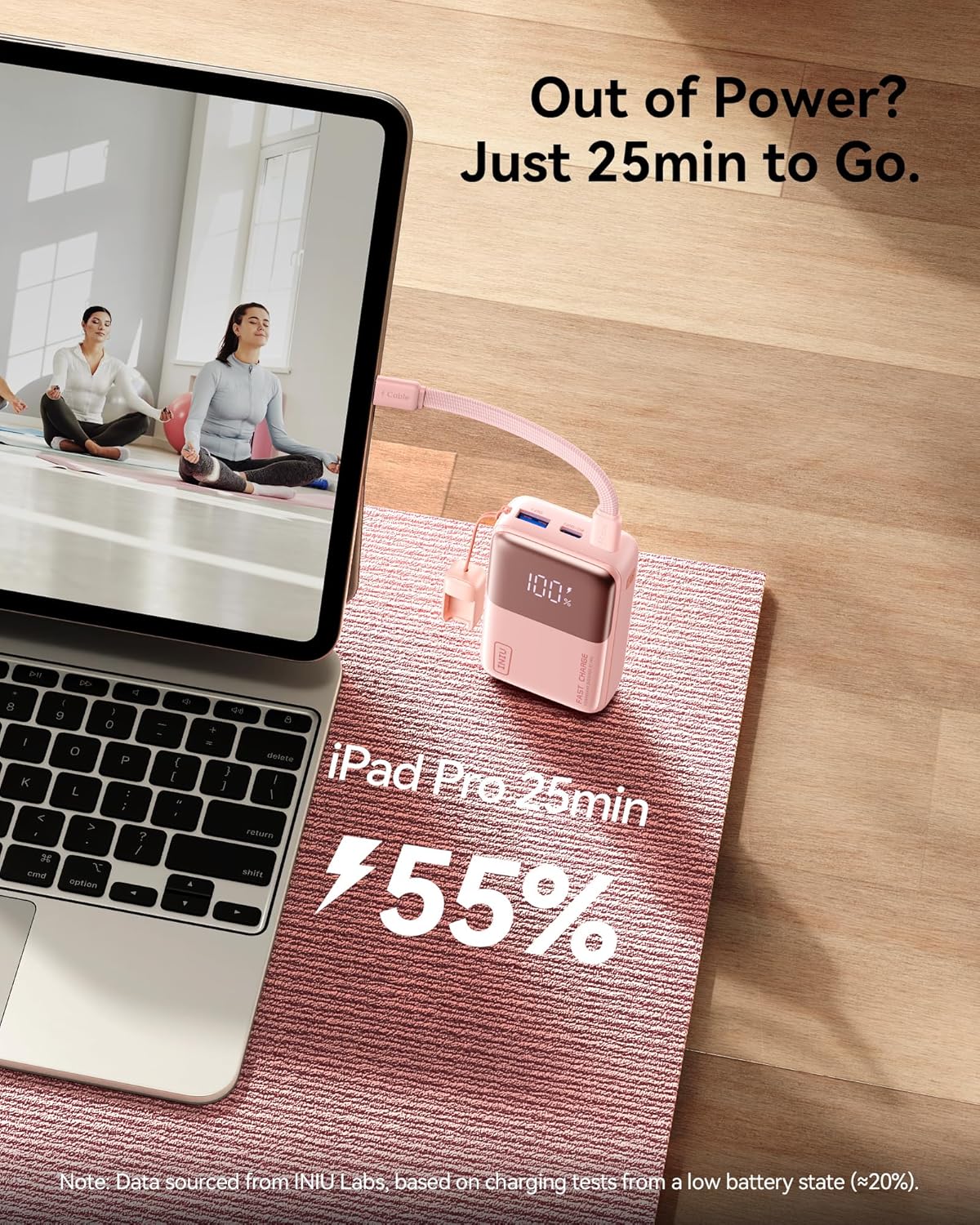 Pocket Power Mini Charger